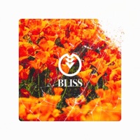 Bliss - Single - Cartographer