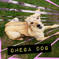 Omega Dog (feat. OK Cool & Joe Baughman + the Righteous Few) - Single - Pocketboy Solid