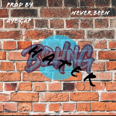 Never Been A Hater - Single