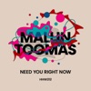 Need You Right Now (Extended Mix) - Single