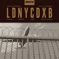 Ldnycdxb - Single - PAV4N, Mazzi & S.O.U.L. Purpose, TaC, Foreign Beggars, S.O.U.L. Purpose & Richy Spitz