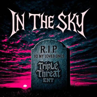 In the Sky (feat. DreamzTheArtist & Cully Kzoo) - Single