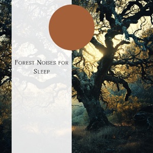 Forest Noises for Sleep