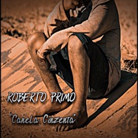 Canela Cinzenta - Single - Roberto Primo