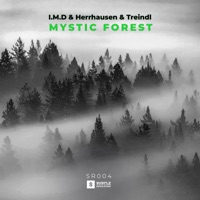 Mystic Forest - Single - Herrhausen & Treindl & I.M.D