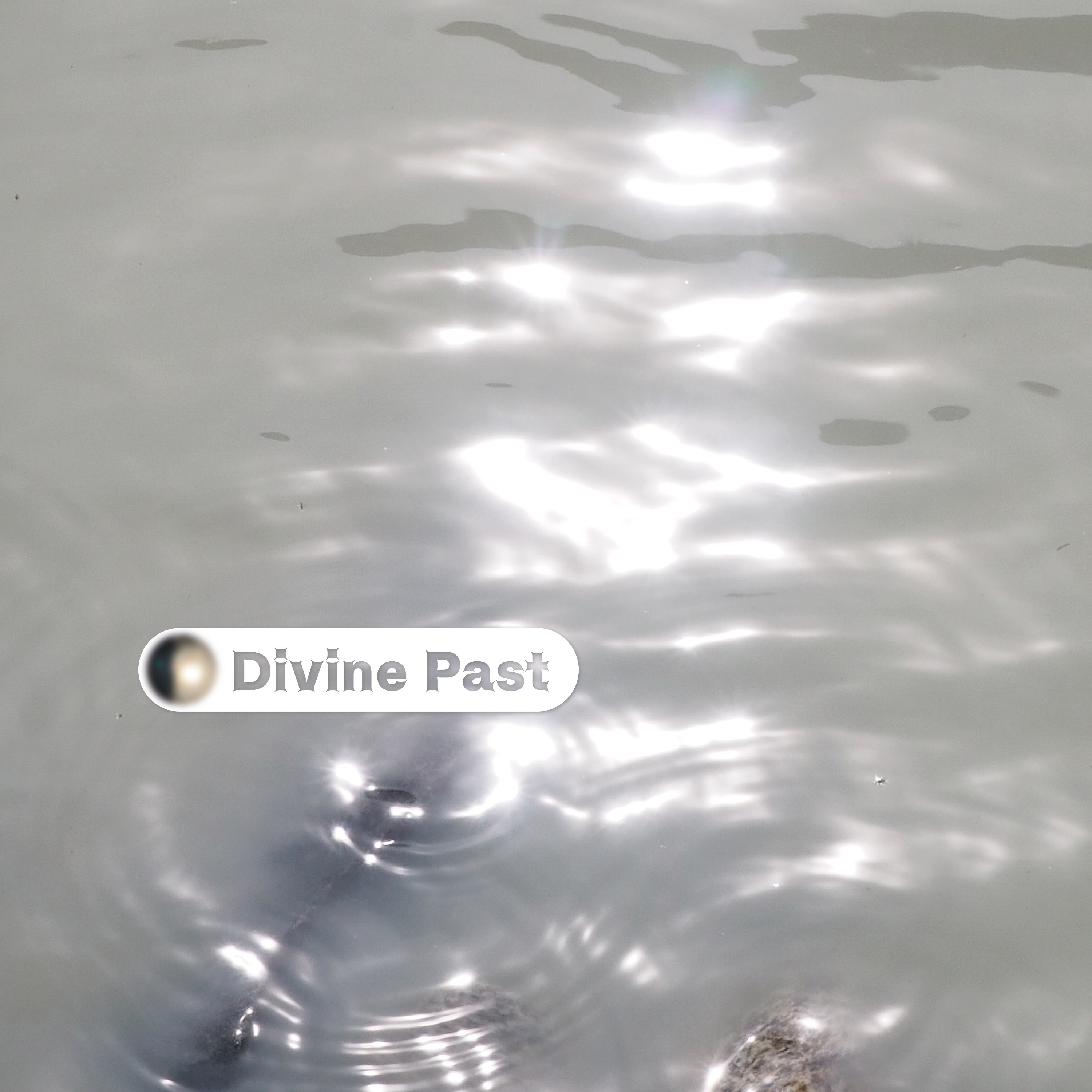 Get Along With You - Single