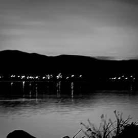 Black N Blue ADRIANPLUG