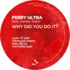 Ferry Ultra - Why Did You Do It? (Filtertypen Remix) [feat. Ashley Slater]