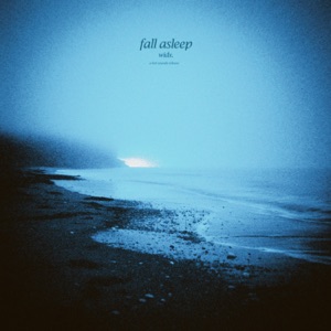 fall asleep - Single