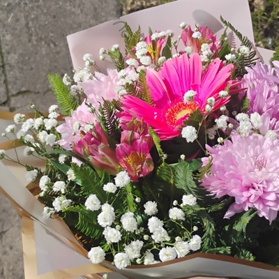 Química G<3 (feat. Sheoo) - Single