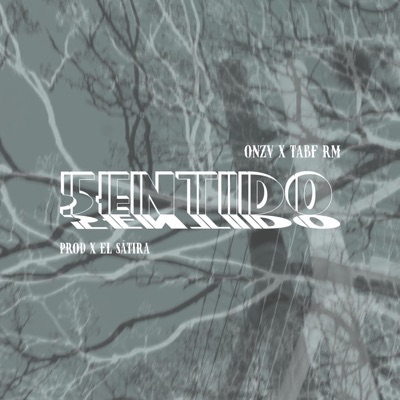 5entido (feat. Onzv & TABF RM) - Single