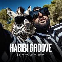 Habibi Groove - Single - M.Hustler & Color Zebra