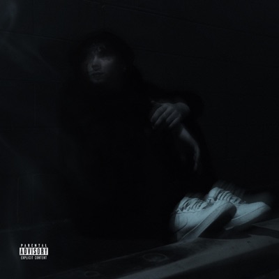 Dont End (feat. Ashton Javier) - Single