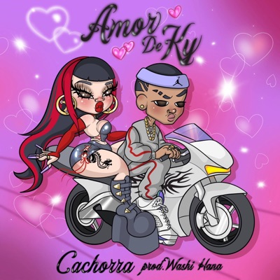 Amor de Ky (feat. Washi Hana) - Single