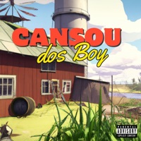 Cansou dos Boy - Single
