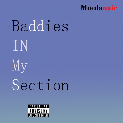 Baddies in My Section - Single