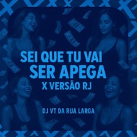 SEI QUE TU VAI SER APEGA X VERSÃO RJ - Single - DJ VT DA RUA LARGA