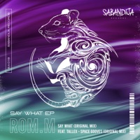 Say What - Single - ROMM