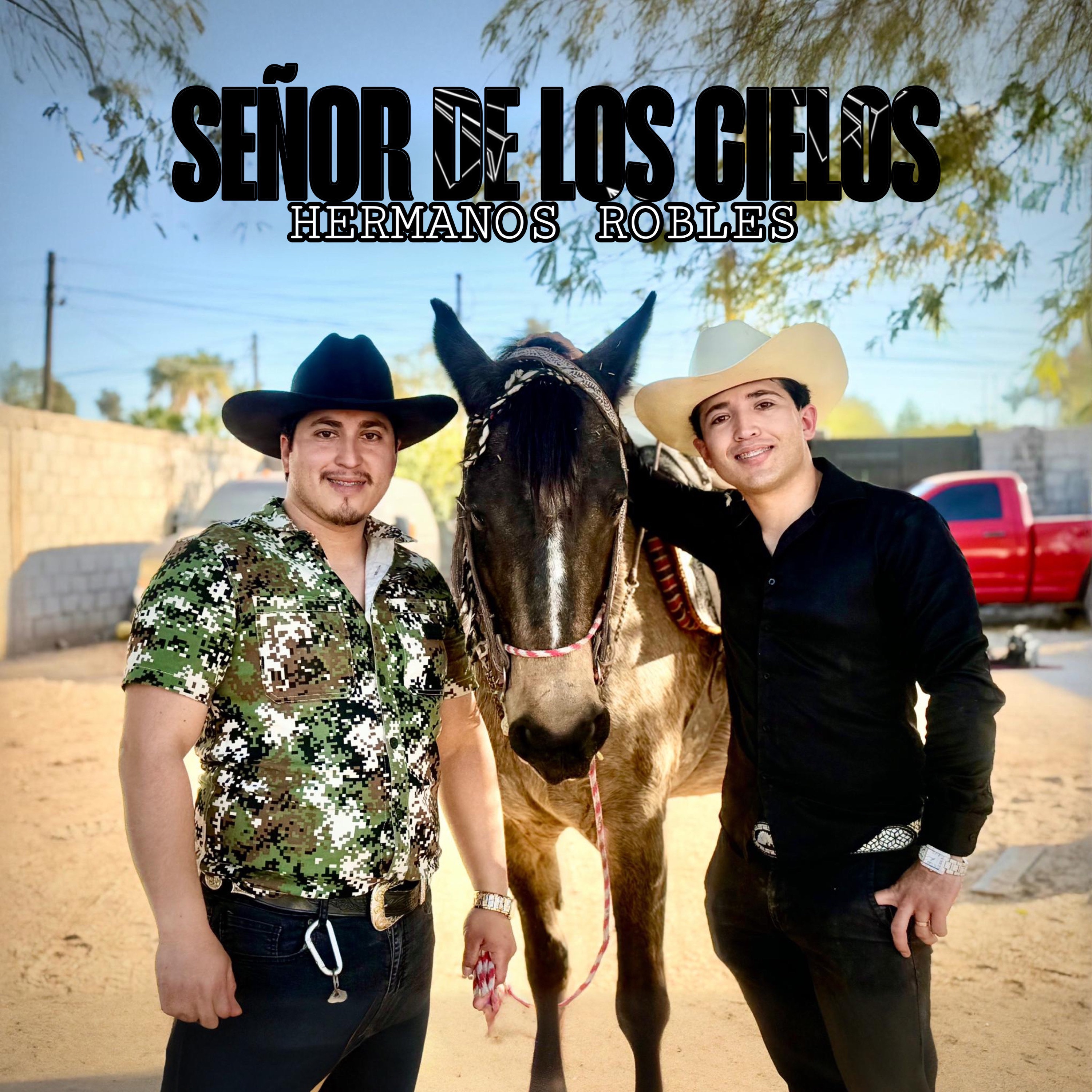 SEÑOR DE LOS CIELOS (Demo) - Single