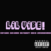 Lil Vibe! (feat. Zach London, OBG Tradgety, KDiB KB & LoveSongDesmond) - Single - CodyBank$907