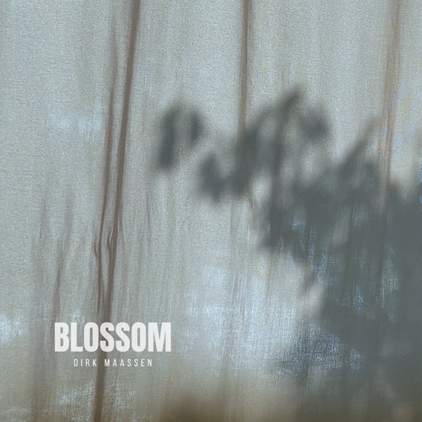 Blossom