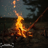 Fireplace Ambience From The Canadian Rockies - EP - Nature Recordings, Nature Field Recordings & Natural Sound Makers