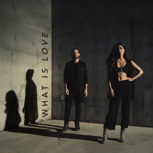What Is Love - Single