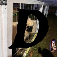 DogShit - Single - DAT MARK, UetaShun & MoneyMall