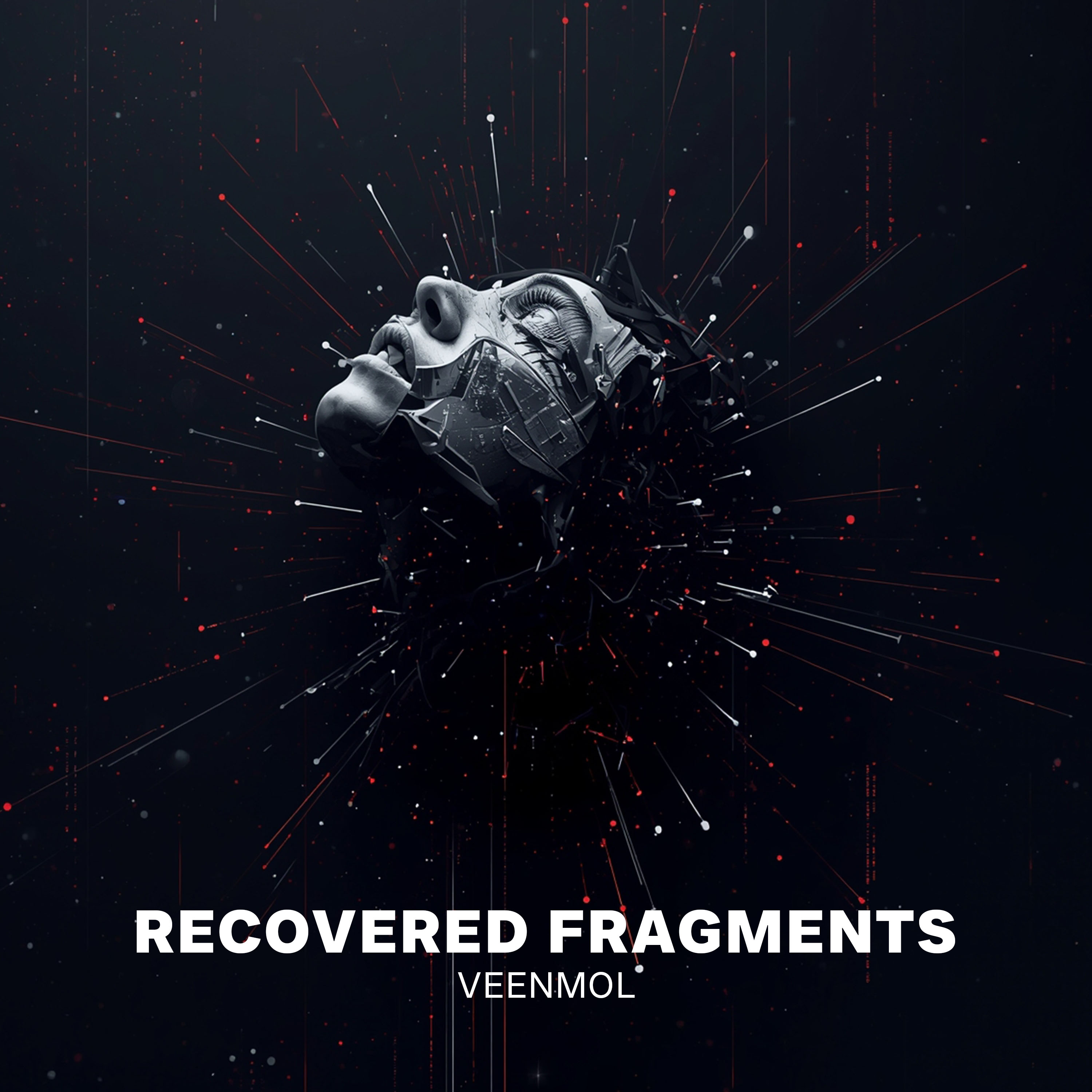 Recovered Fragments - Single