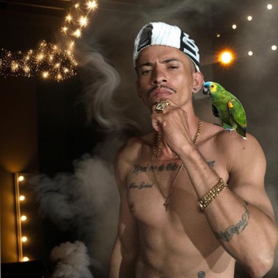 Ate Papagaio Fala - Single