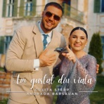 Am gustat din viata (feat. Andrada Barsauan) - Single