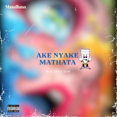 Ake Nyake Mathata (feat. Sleevy Scott) - Single