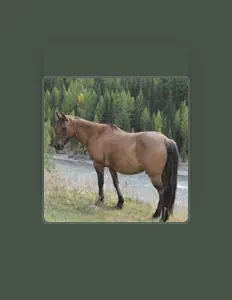 小猫爹地을(를) 듣고, 뮤직 비디오를 보고, 약력을 읽고, 투어 일정 등을 확인하세요!