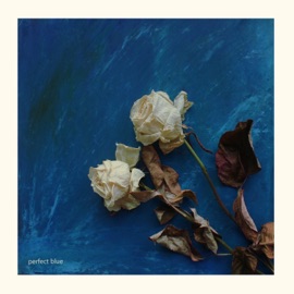 Хартограмма SODA LUV