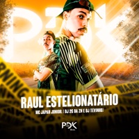 Raul Estelionatario - Single - DJ 2G da ZN, DJ Tevinho & Mc japah Junior