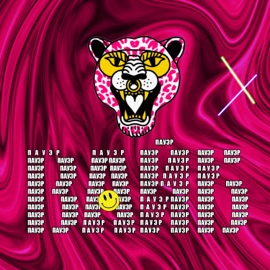 Вайб паур SUTER