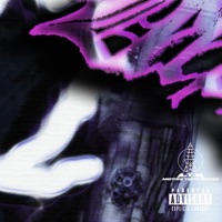 FACE THE TRUTH (feat. spiritrealm) - Single - QGVWD