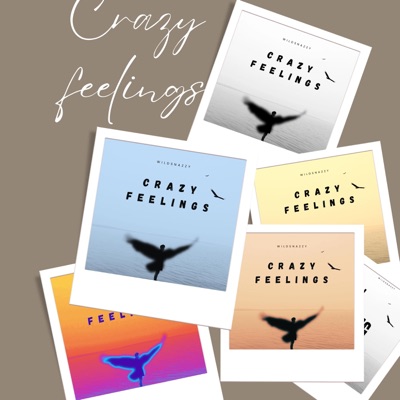 CrAzY fEeLiNgS - EP