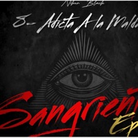 Adicta a la maldad (feat. El régimen) - Single - Niker Black