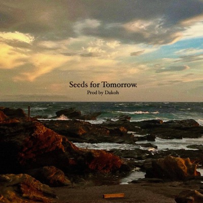 Seeds for Tomorrow - Single