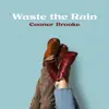 Waste the Rain
