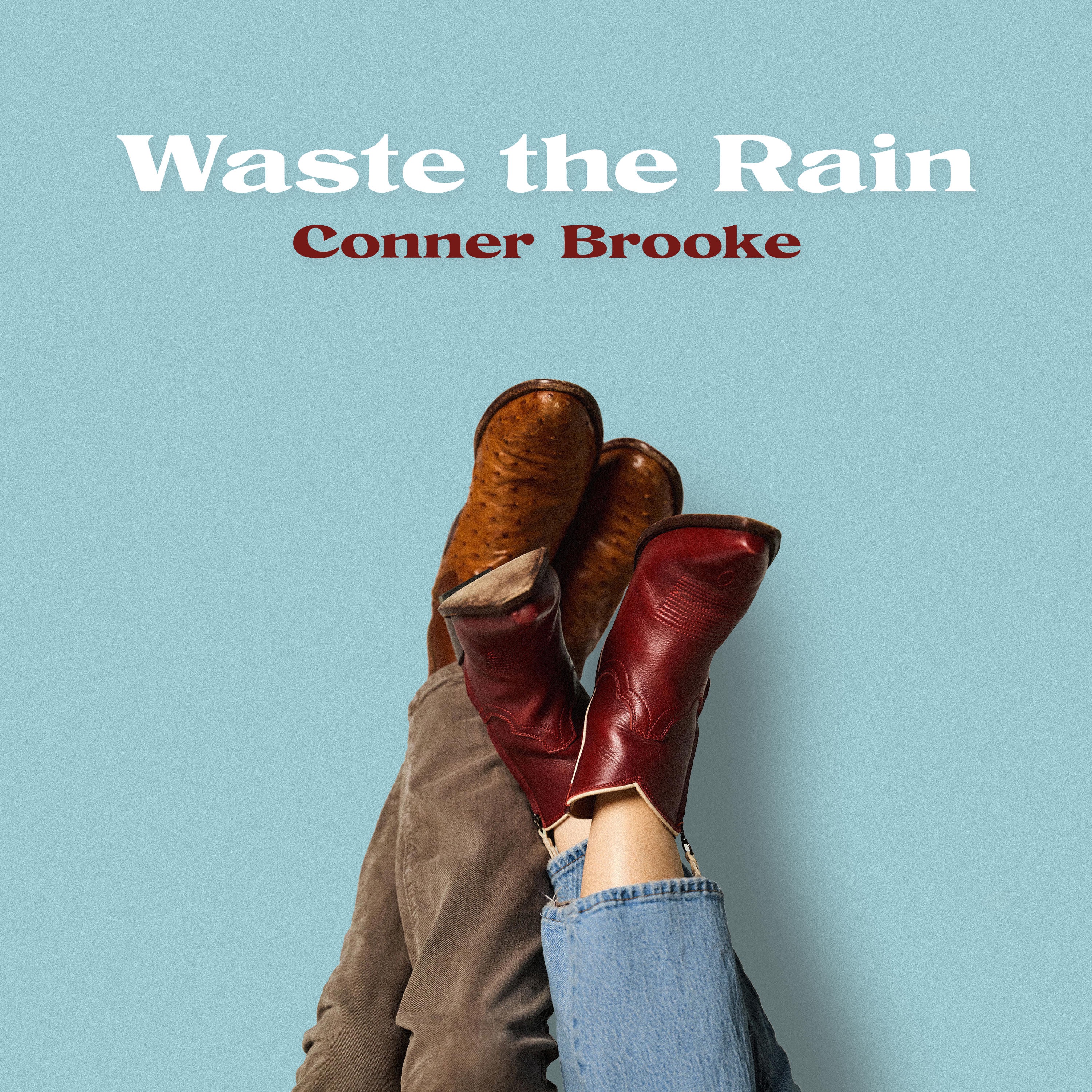 Waste the Rain - Single