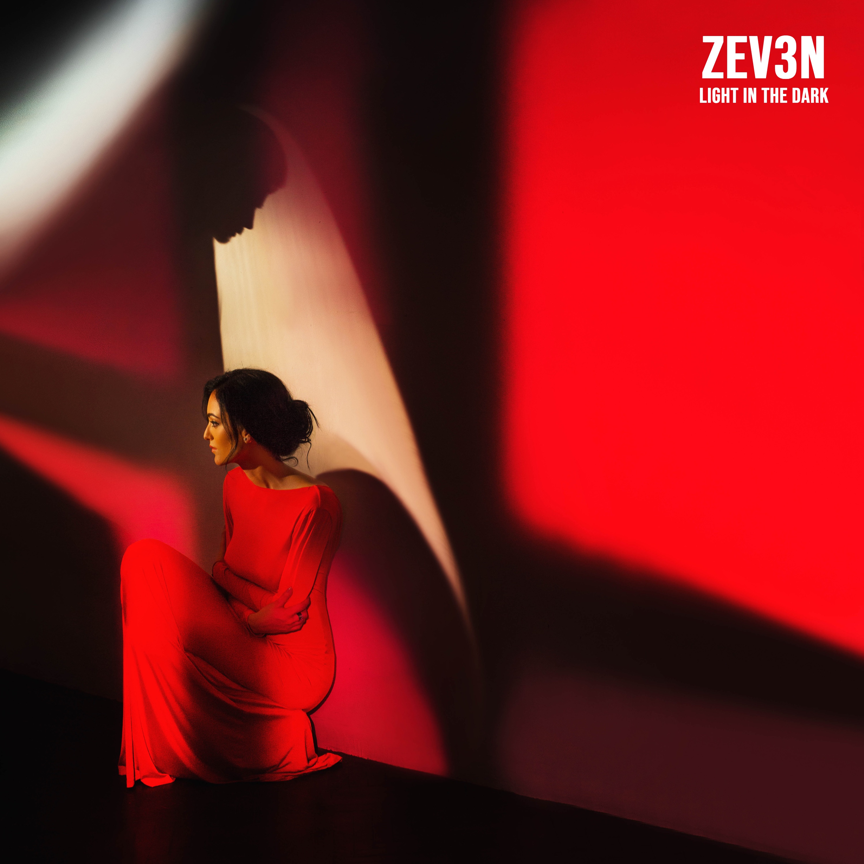 Light in the Dark - Single