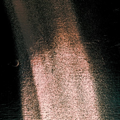 Little Night Lies - Single