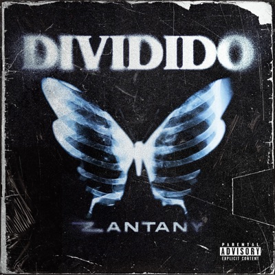 DIVIDIDO - Single