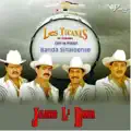 Los tucanes de Tijuana