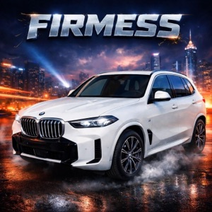 FIRMESS (feat. Gaudi & JVR) - Single