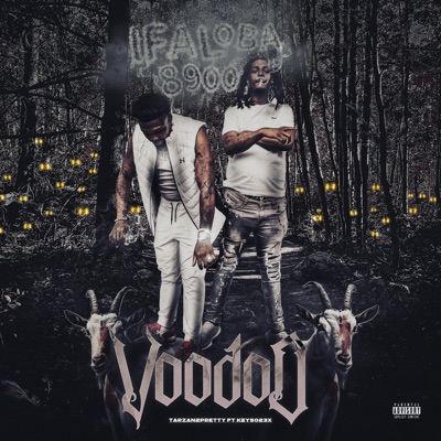 Voodoo (feat. Keyso23x) - Single
