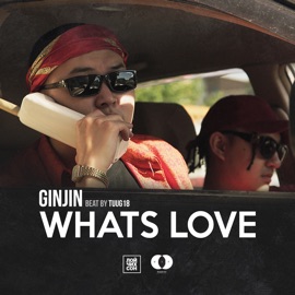 Whats Love Ginjin