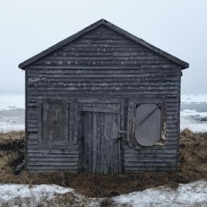 Inside This Withered House - Single